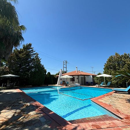 Country House With Pool And Big Garden Oropos Zewnętrze zdjęcie